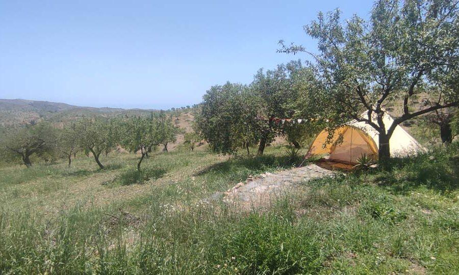 Bell tent 2